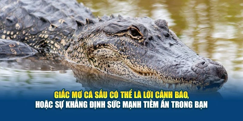 Mơ Thấy Cá Sấu Nên Đánh Con Gì tại 78Win? Gợi Ý Từ Giấc Chiêm Bao 5 Giấc mơ cá sấu có thể là lời cảnh báo, hoặc sự khẳng định sức mạnh tiềm ẩn trong bạn